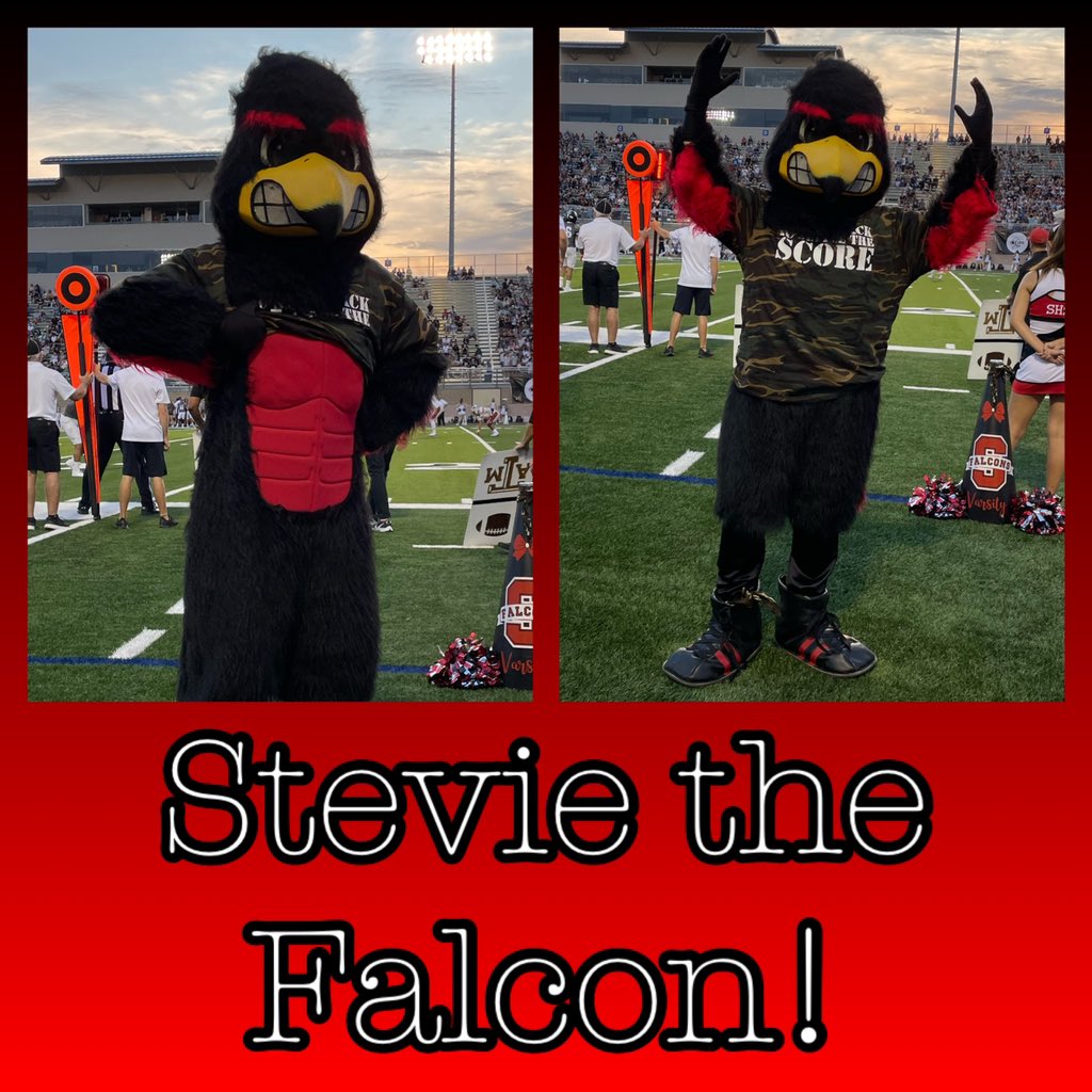 Introducing our new mascot: Stevie the Falcon! We’re so excited to have you on our squad!!! 🥳❤️🖤🤍