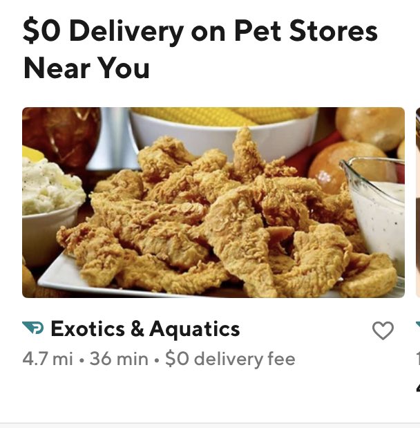 oh god what did they do to the fish