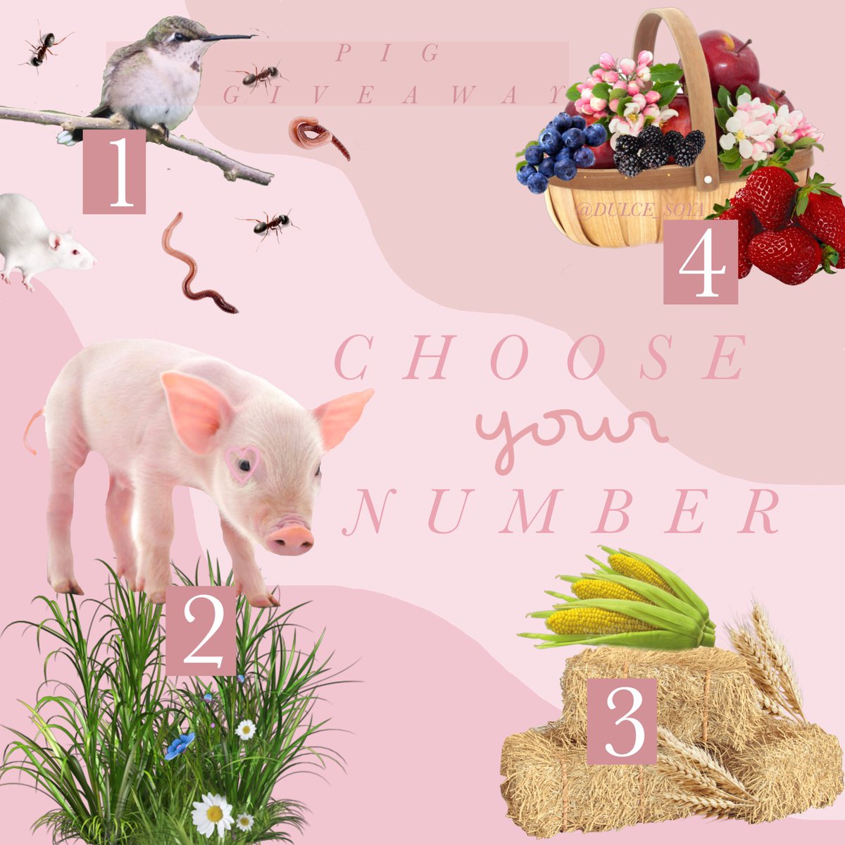 jieunnsita's tweet image. 『 𝑨𝑫𝑶𝑷𝑻 𝑴𝑬 𝑮𝑰𝑽𝑬𝑨𝑾𝑨𝒀 』

❝  🐖٩(*ˊᗜˋ*)۶🐖
CHOOSE YOUR NUMBER (1 winner: 1 normal, NFR, or MFR Pig) ❞

↳ Check the tweet below to enter