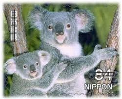 @kyon123 やんのかコアラ（親子連れ） 