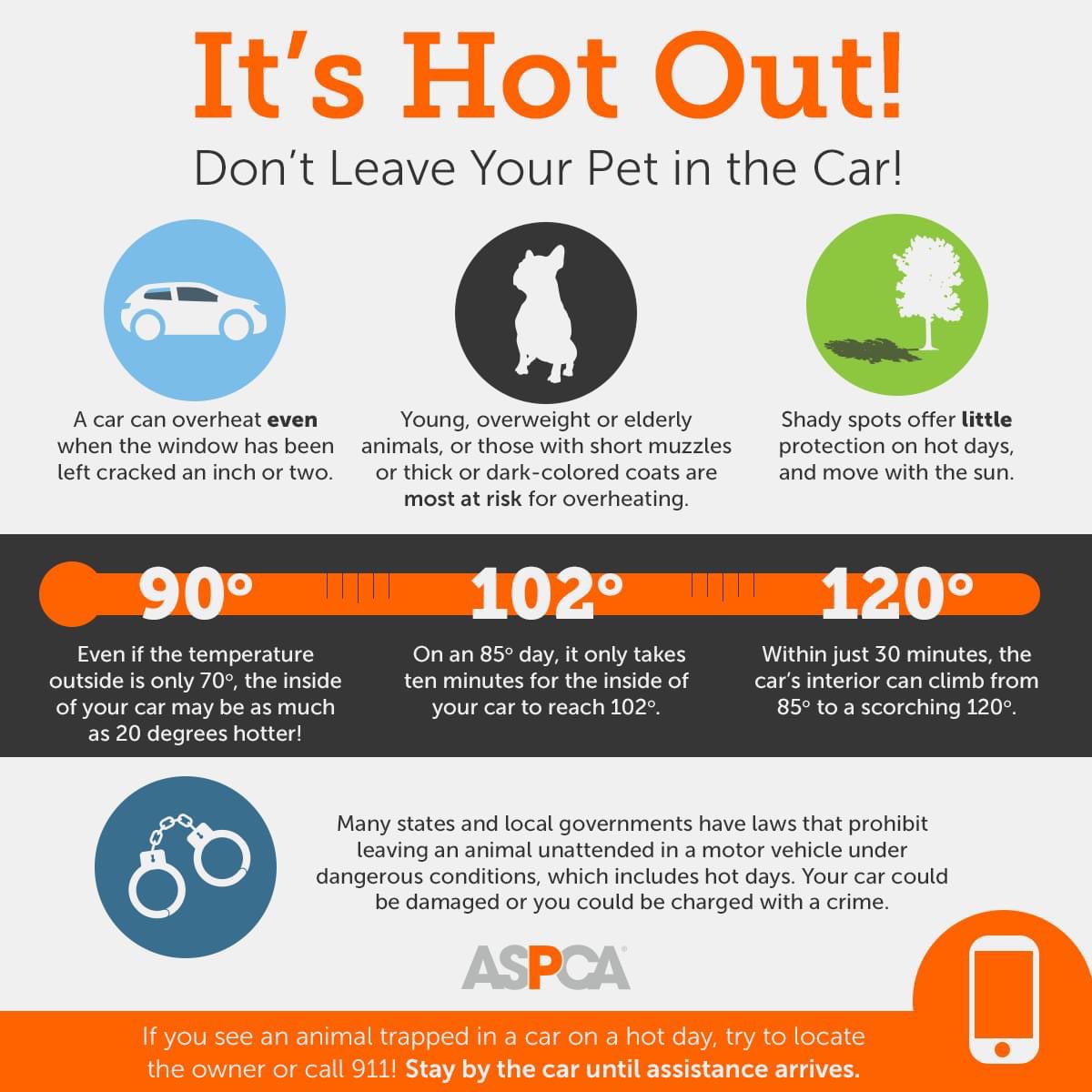 It’s getting hot in our area! Please take care of your four legged family members during this extreme weather. #caheatwave #elkgroveca #sacramentoca #petslife #petsafety