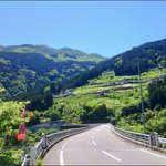 ツイートに含まれる画像