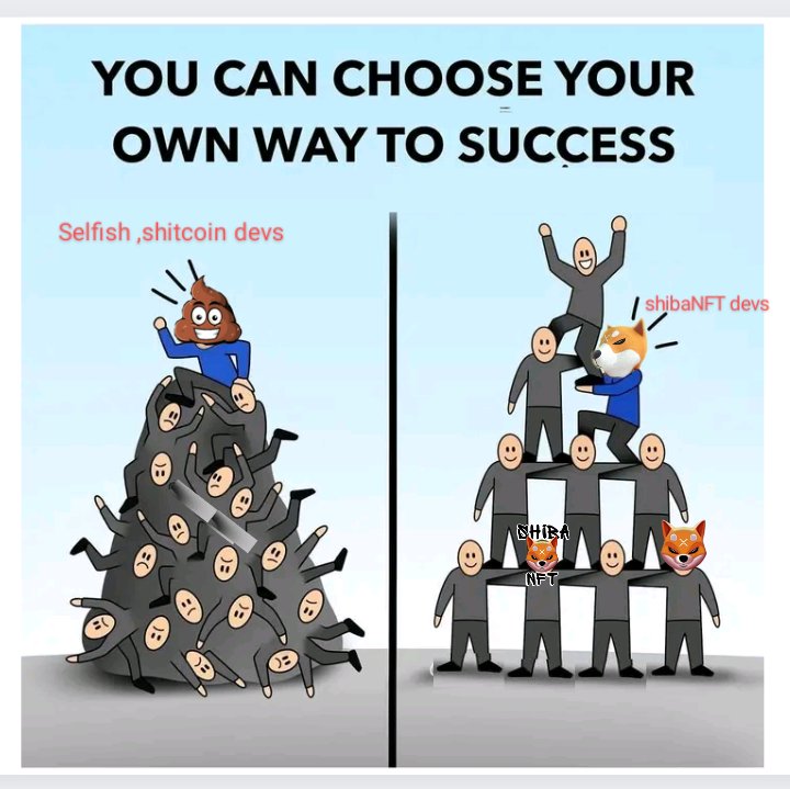 Mika 🐟 tweet media