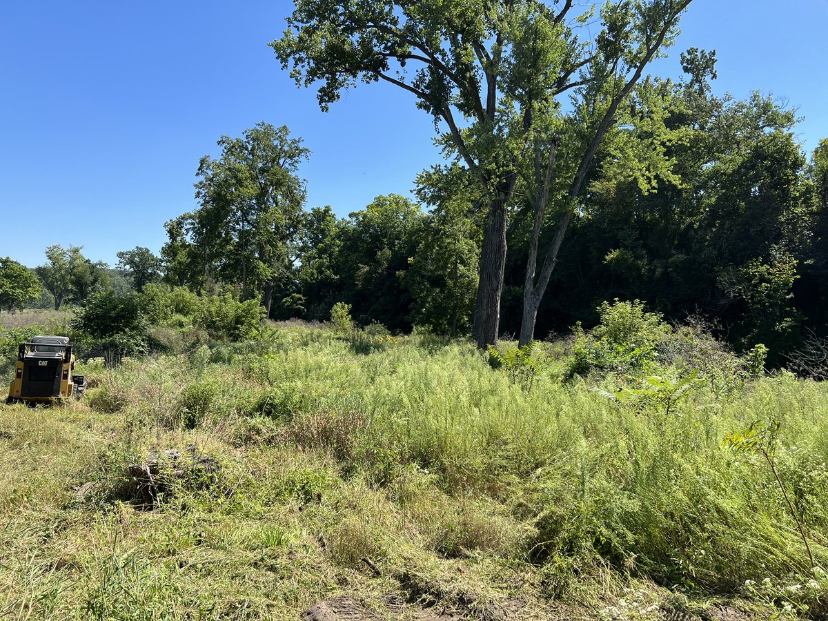 crcc_grounds's tweet photo. Getting rid of some junk. Future location for 17 tee. Trying to highlight some cool features on the property. New tees will sit along the creek giving the hole a new look! #projectszn https://t.co/yTYZ85Ipu5