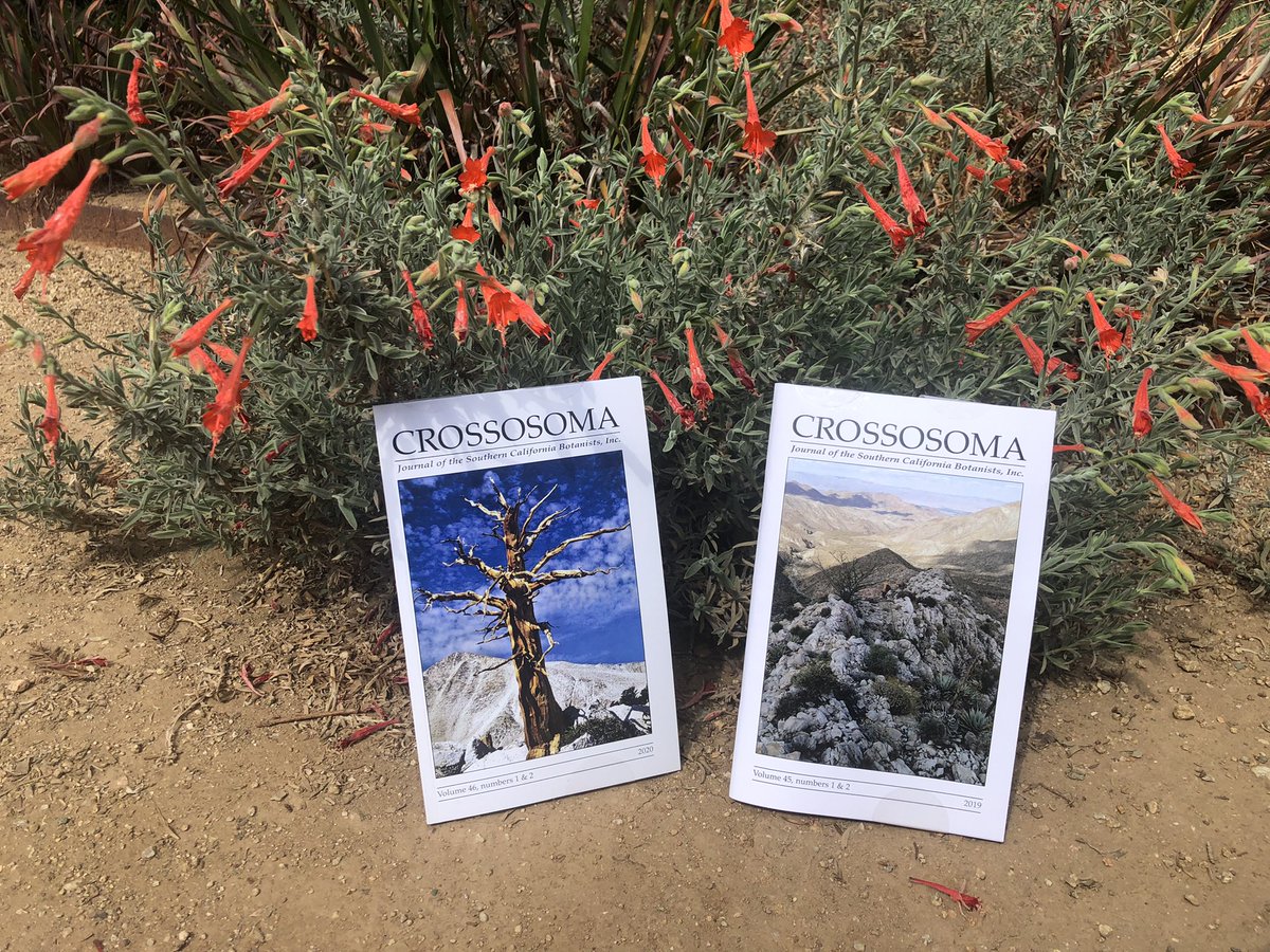socalbot's tweet photo. 👀 Look out, SoCalBot members!! 👀
Two new Crossosoma journals are going to be mailed out this week! We’re so excited to get this awesome research to you!! https://t.co/0ftvlaJNMl