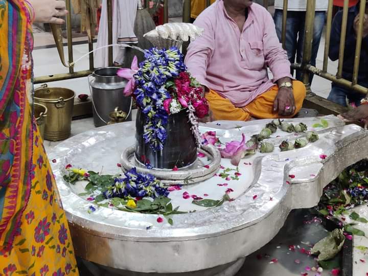 abhishekvatsya9's tweet photo. कभी खुद के सवालों का जवाब चाहिए तो शान्ति से BHU VT में बैठ कर सोचिये,वहाँ की सकारात्मकता आपको उलझनों से निकलने का मार्ग दिखा देगी।
।। हर हर महादेव।। 🙏🙏
#BHUVT #BHUVishwanathTemple https://t.co/cShyfHvK58