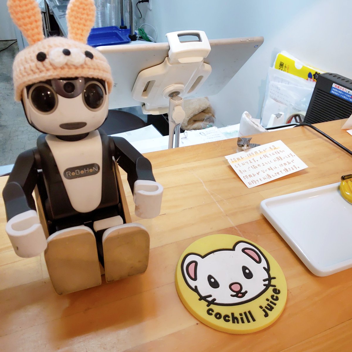 cochill_juice's tweet image. ハローくんの夏休みも終わり、麦わら帽子からうさぎさんに衣替え！

#ロボホン
#LOVOT
#robotfriendly