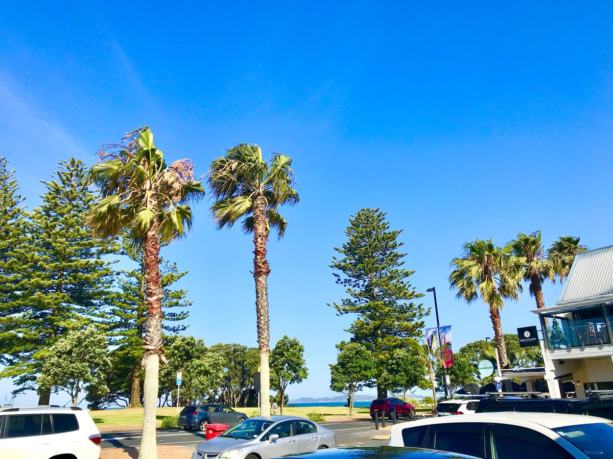 kusano_akiko's tweet photo. ハワイ旅行を考えてるけど円安で厳しい。では、ニュージーランドはいかがですか？🇳🇿🏝

・治安が良い
・1ドル＝85円
・日本の冬→NZの夏
・ビーチ沢山＋湖もある
・ブランドショッピング可
・入国時PCR陰性証明書不要
・ハワイと同じポリネシアに属する
・ニュージーランド航空燃油サーチャージ不要 https://t.co/ftVLAUssqL