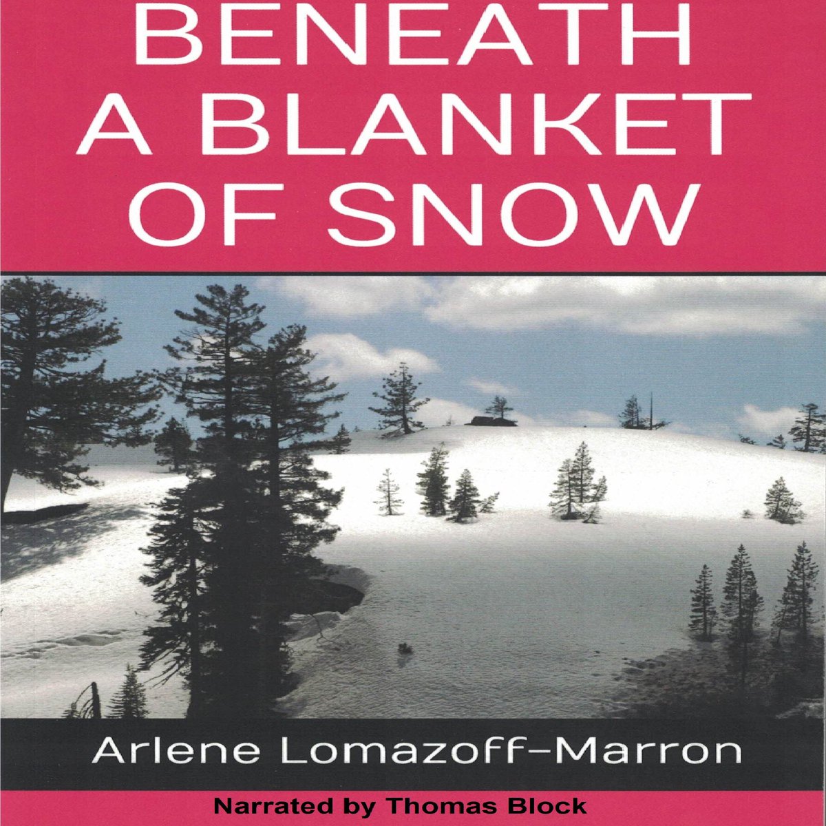 Listeners wanted! I'm so excited to announce that Beneath A Blanket Of Snow is now available as an audio book on Amazon, Audible, and iTunes!
#Audible #audiobook #DramaAlert #listeners #friendship #forgiveness #redemption #SECRET 
amazon.com/dp/b08dh91fmm
