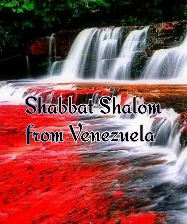 🌼Andrea אהבה (Love)🌼 on X: 🌿🌼 Shabbat #Shalom