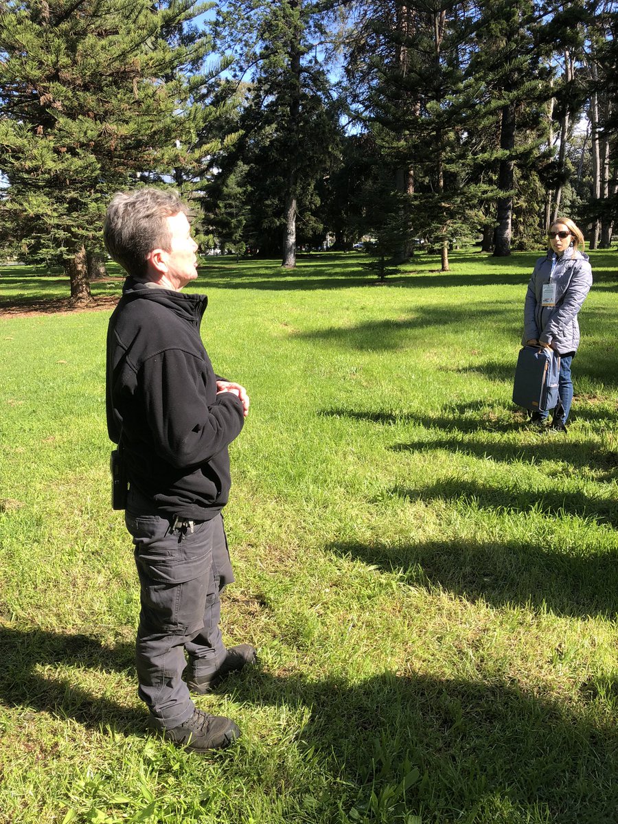 Bundogs's tweet photo. Thanks to Paul, Karen and Linda for sharing their passion for ABG and Linda for her extensive knowledge and experience with Grey Headed Flying Foxes 🦇 #adelaidebotanicgardens #treenet #knowledgeandpassion https://t.co/y072ofoLb6