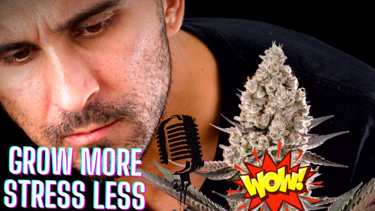 GrowMoreStressLess.Net tweet media