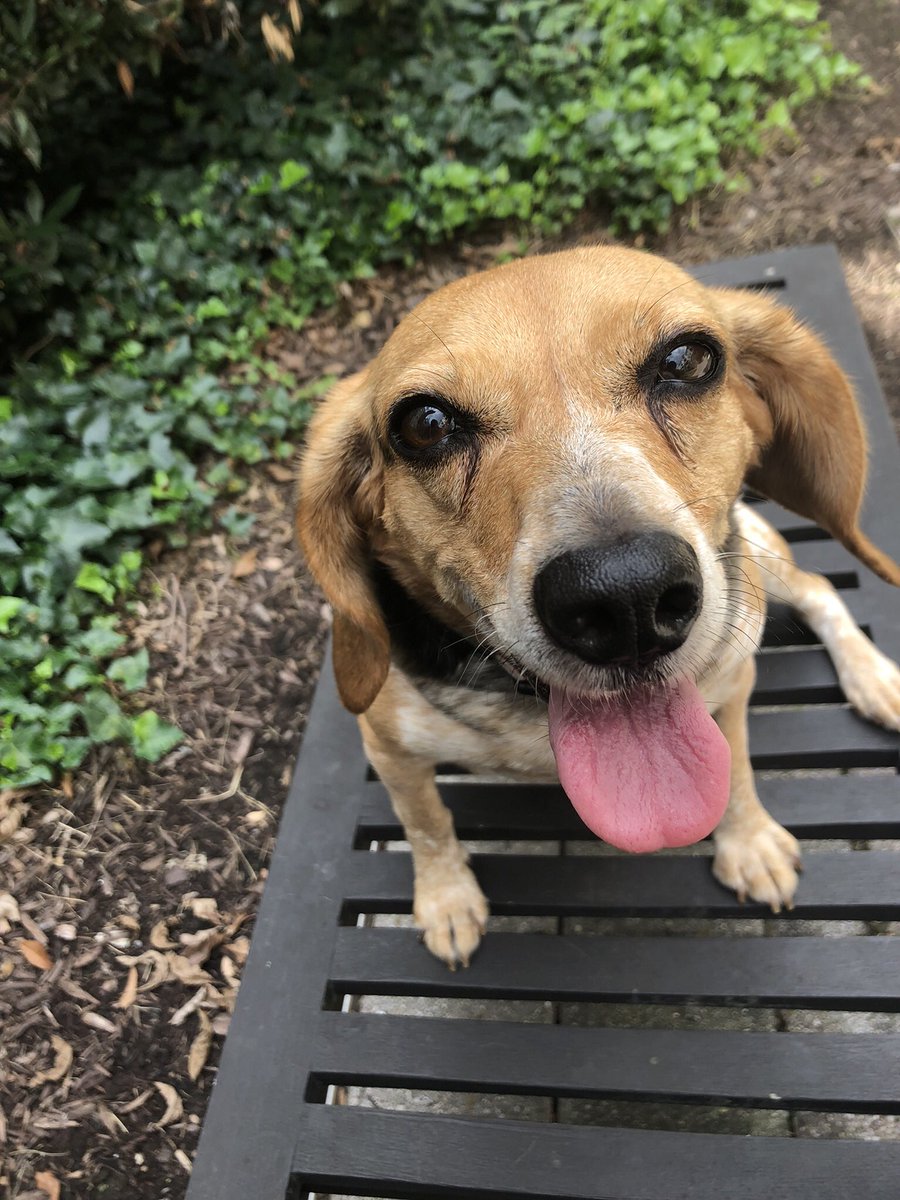 Josie’s New Adventure (feat. Mom) tweet media