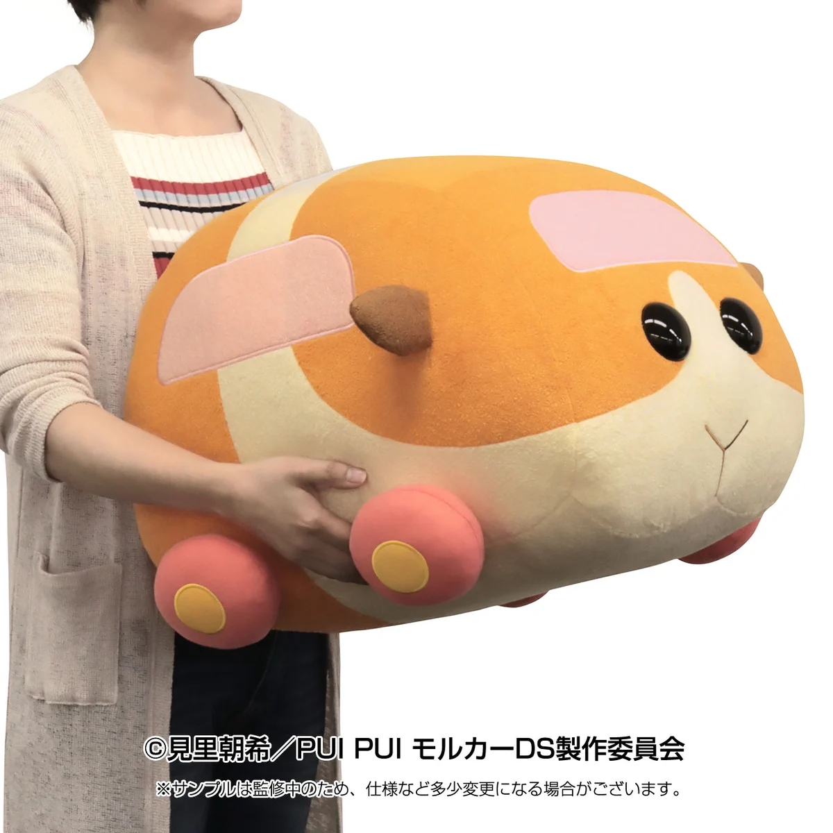 PUI PUI モルカー【公式】 pe X: „📢 #PUIPUIモルカー商品情報 PUI PUI