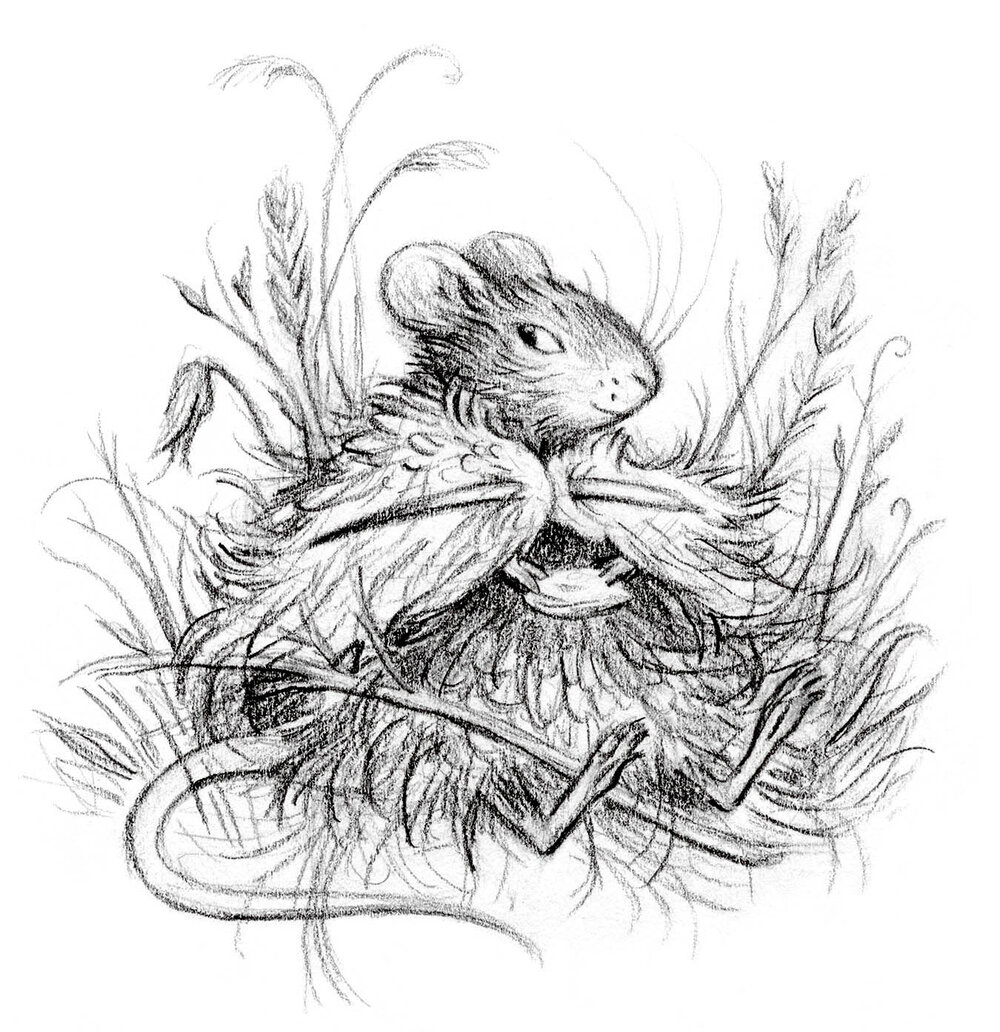 Vikki the Lake Deer 🏽🇺🇦 🏾 on Twitter "RT potpies field mouse 🌾"