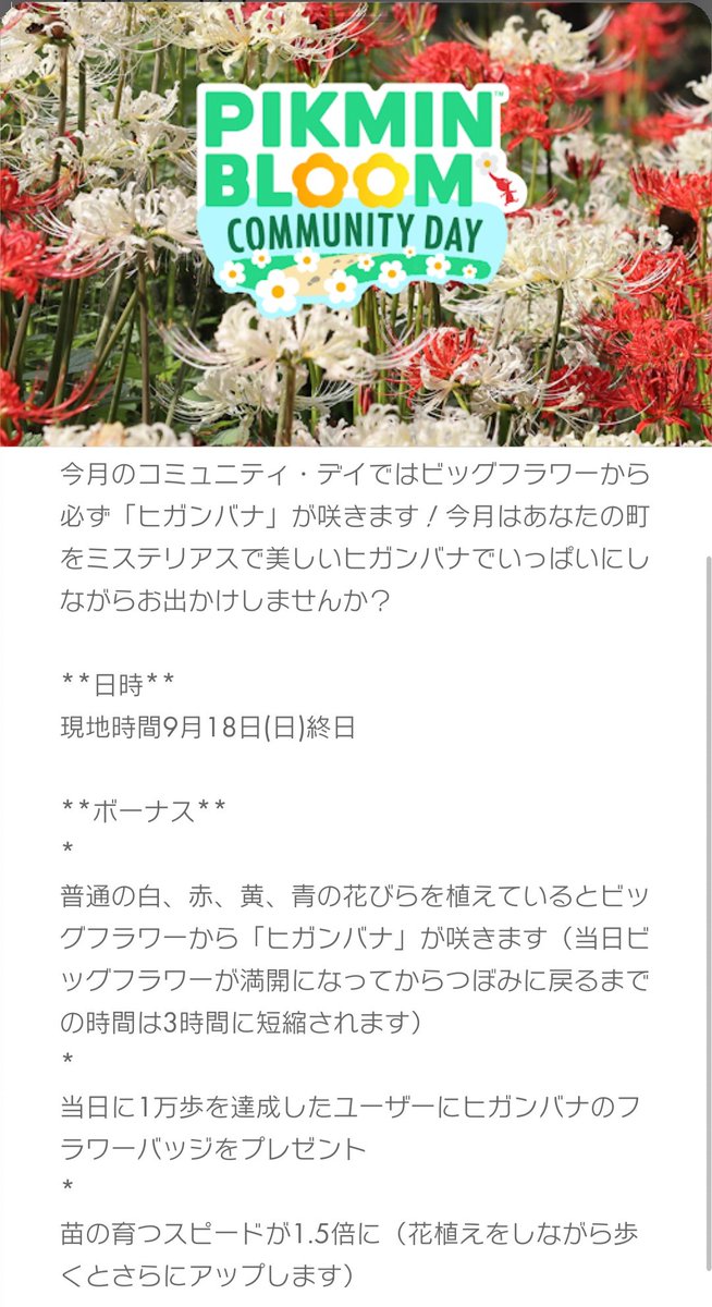 تويتر ピクミン البحث في تويتر تويتر ピクミン البحث في تويتر