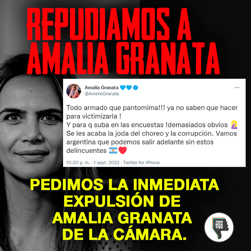 TodoNegativo's tweet photo. #AmaliaGranata defensora de la VIDA pero si la quieren matar a @CFKArgentina dice que está todo armado... 😠 https://t.co/ct8OziI4HI