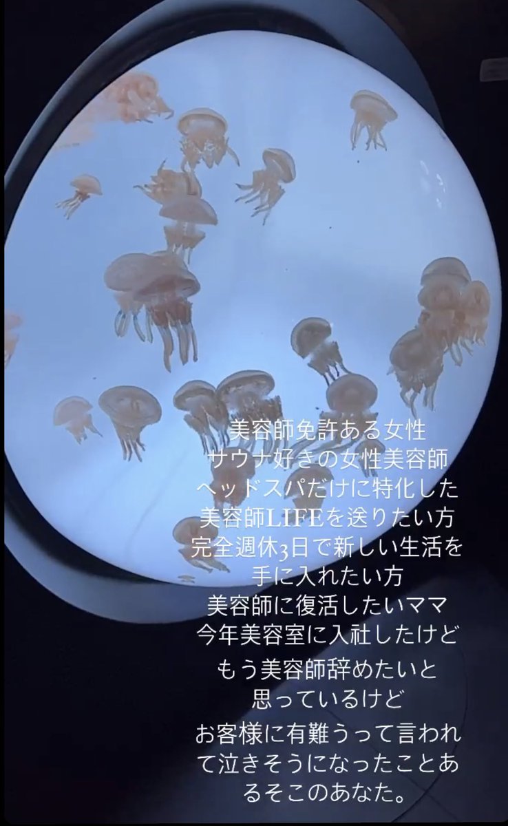 wataru_world's tweet photo. 年末年始あたりに目ん玉飛び出るほどの
お店OPENします。
美容師免許お持ちであればOK。
提供する技術はヘッドスパのみ。
弊社アカデミーにて教えます。
様々な働き方が選択できますが社員は完全週休3日制、パートさんは時給1,300~1,700円（働き方により）
女性の新しい働き方���手に入れてください。DM https://t.co/pzbQvTdcO6