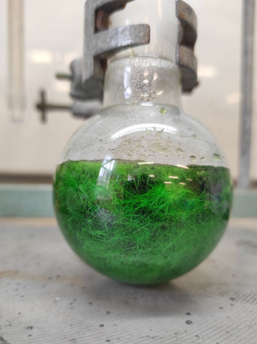 PolMeno's tweet photo. What a beautiful way to end my week!! My labmates told me the crystals were worth a tweet so here they are!! #Crystals #RealTimeChem #ozchem https://t.co/oRTrbdIABo