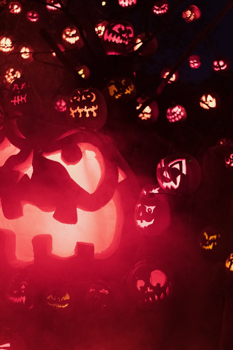 lofimunk's tweet image. 👻🎃Hey lofi munk friends! That time is nearing once again we are now accepting submissions for our upcoming #halloweenlofi compilation ep &quot;spooky beats vol.3&quot; deadline for submissions is on the 19 of SEPT 

Submit spooky beats here: 
bit.ly/spookybeatsvol3 

#spookybeats