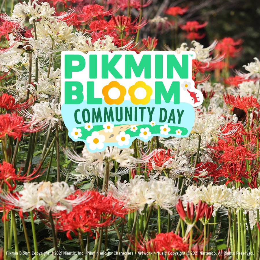 ピクミンブルーム 9月のコミュニティデイ情報が公開 今月は秋の訪れにピッタリのあの花 Appbank