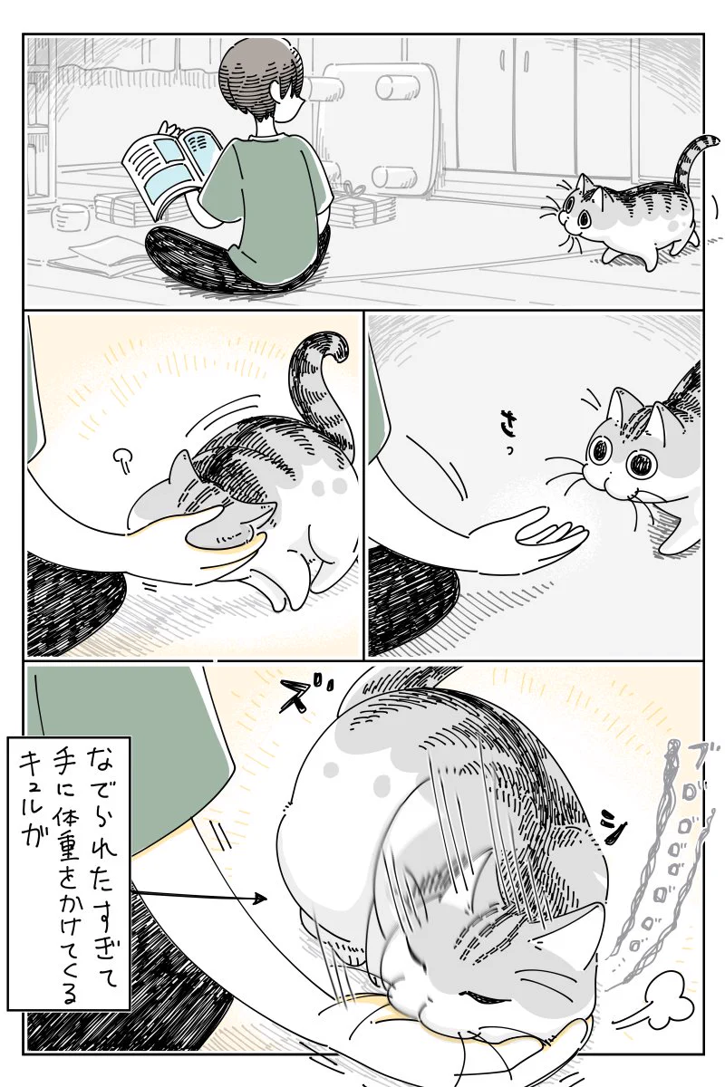 ある瞬間だけは一瞬冷静に･･･！撫でて欲しくて手に体重をかける猫のお話！