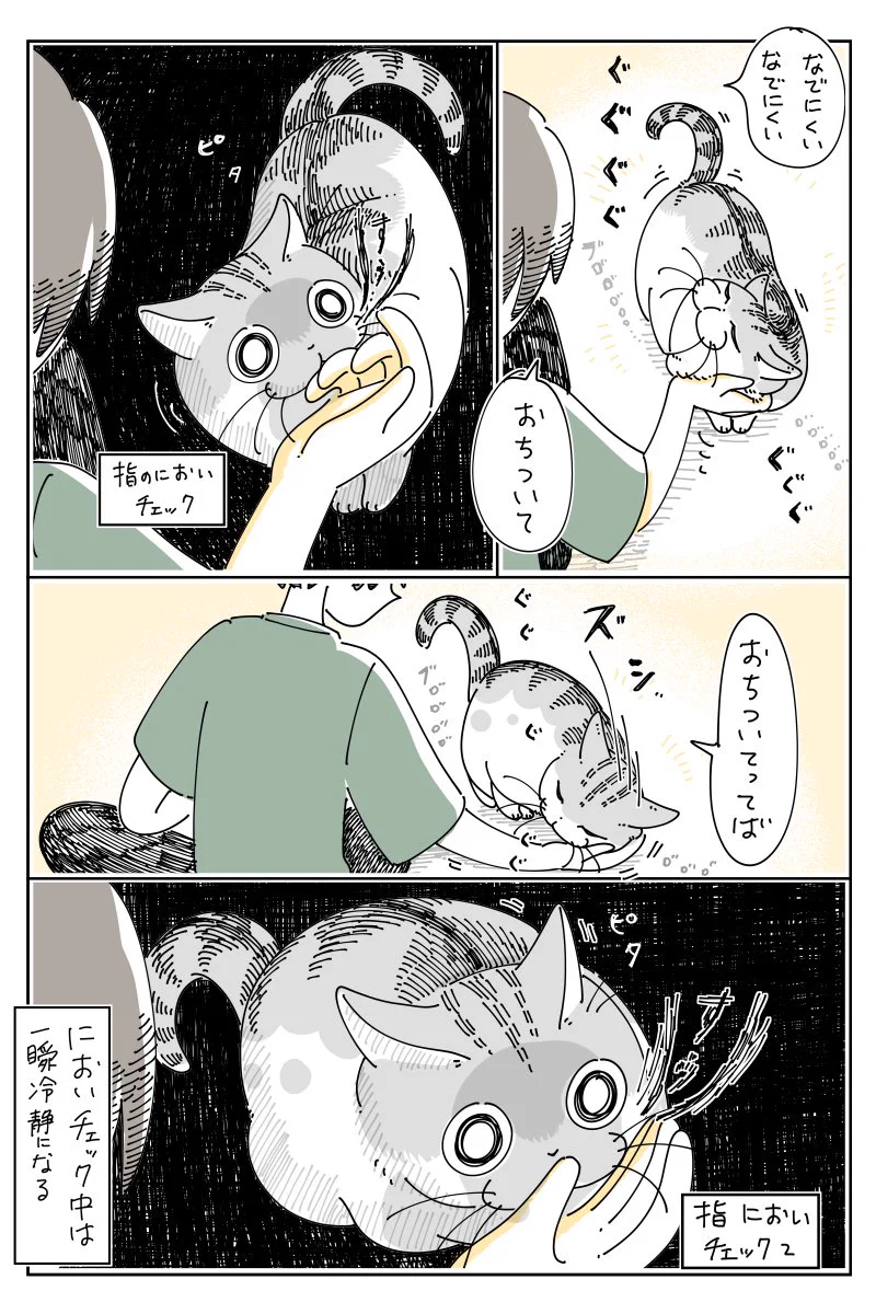 ある瞬間だけは一瞬冷静に･･･！撫でて欲しくて手に体重をかける猫のお話！