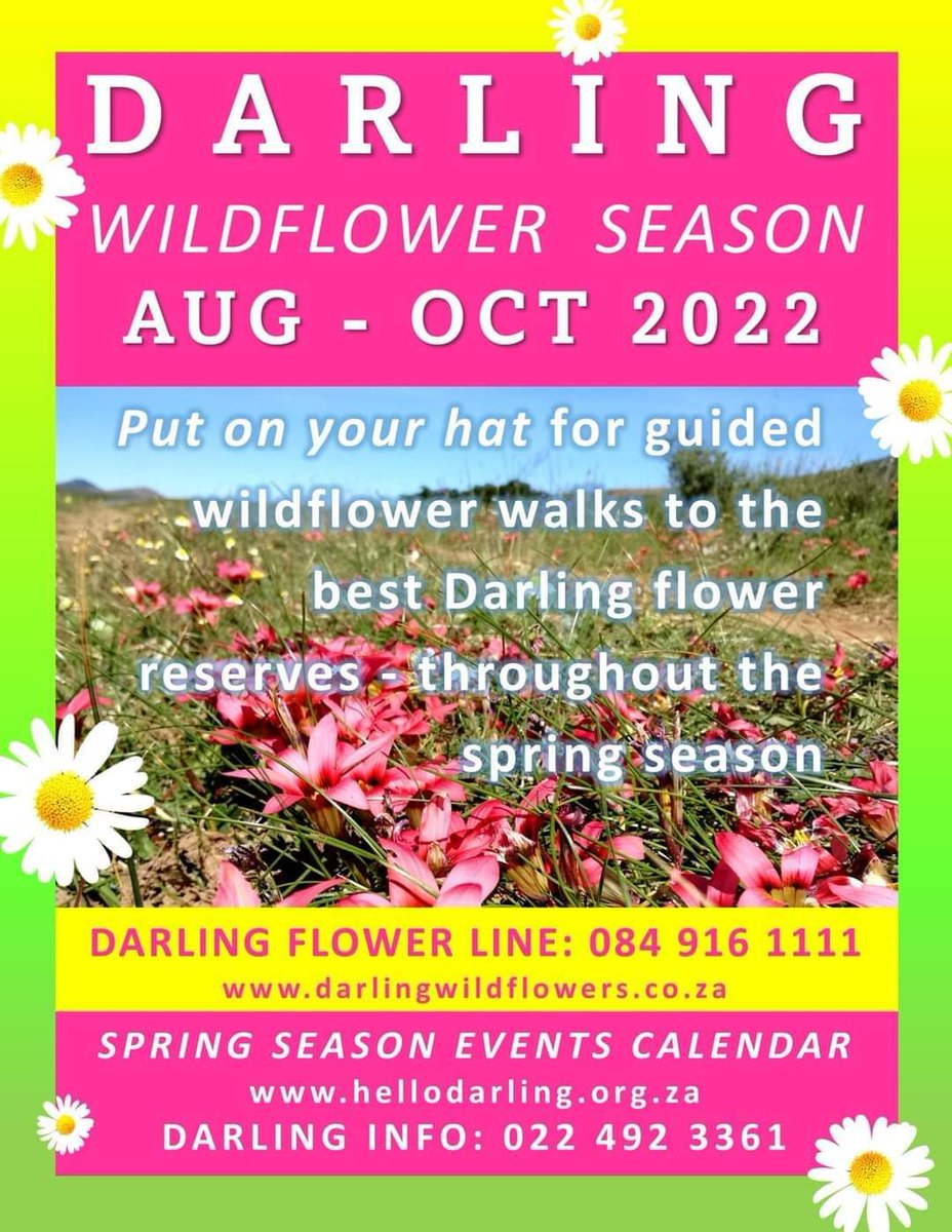 Don’t miss the Darling Wildflower Show Weekend, coming this 16 – 18 September 💐.
 
Celebrating Heritage Month with Darling makes sense – with our rich culture, traditions, and diversity our little town is a stellar #localislekker experience 🤩.

#HelloDarlingZA