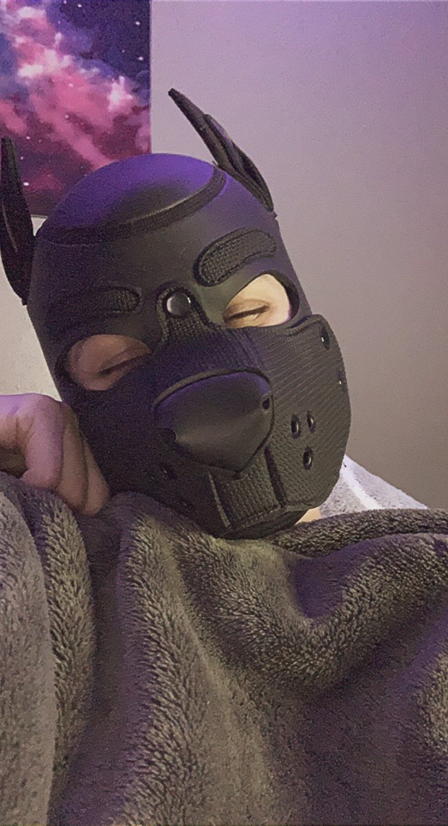 PupNugget1's tweet photo. I want to thank all of you for helping me reach over 2,500 amazing followers! I’m seriously absolutely blessed with the best! Thank you for the kindness, inspiration, and love. I love you all so very much! 🖤 #petplay #puppyplay #humanpup #pupnugget #lgbtq #ftm #trans https://t.co/fb4WvQNTZq