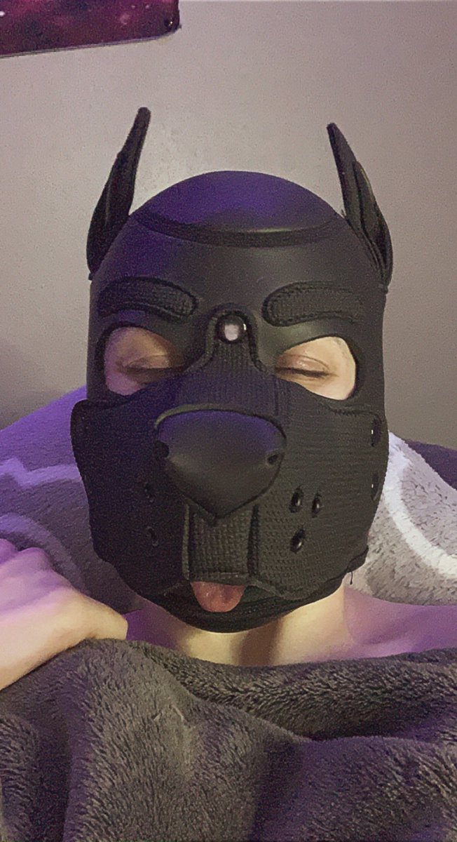 PupNugget1's tweet photo. I want to thank all of you for helping me reach over 2,500 amazing followers! I’m seriously absolutely blessed with the best! Thank you for the kindness, inspiration, and love. I love you all so very much! 🖤 #petplay #puppyplay #humanpup #pupnugget #lgbtq #ftm #trans https://t.co/fb4WvQNTZq