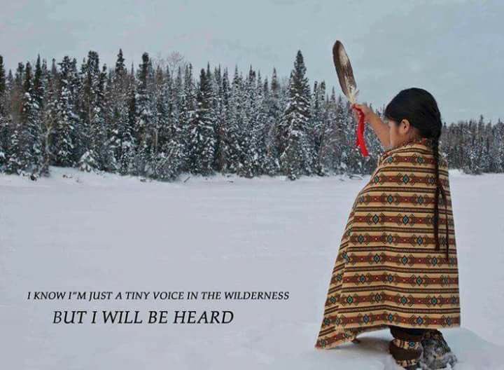 HunkpapaLakota #FirstNationsMatter tweet media