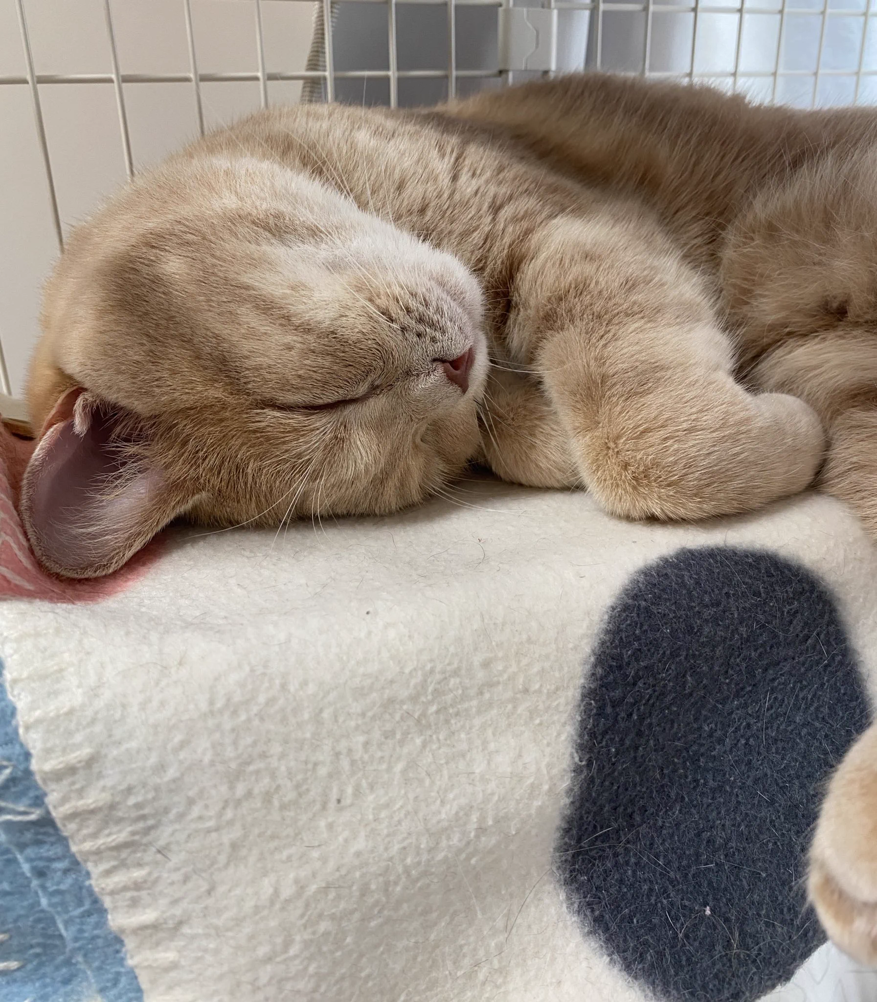 @kyuryuZ ズシって乗ってくるときって、こんなかんじでしょうか。 