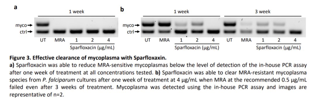 Björn F.C. Kafsack tweet media