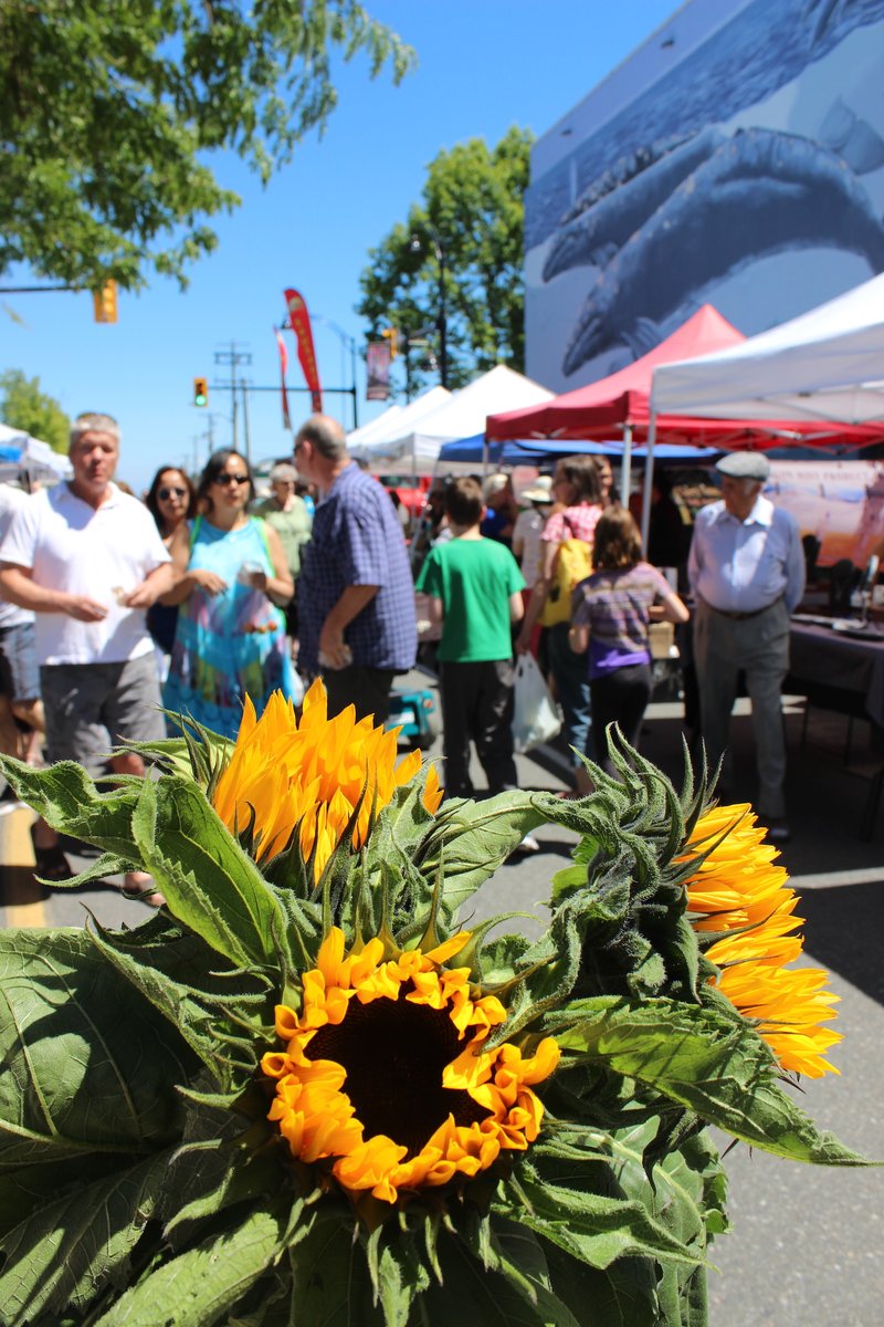 10 things to do in White Rock before the season of sunshine ends … though we are planning on making summer last as long as possible. ☀️ #explorewhiterock #whiterockbc  ow.ly/7a9y50Kycwf