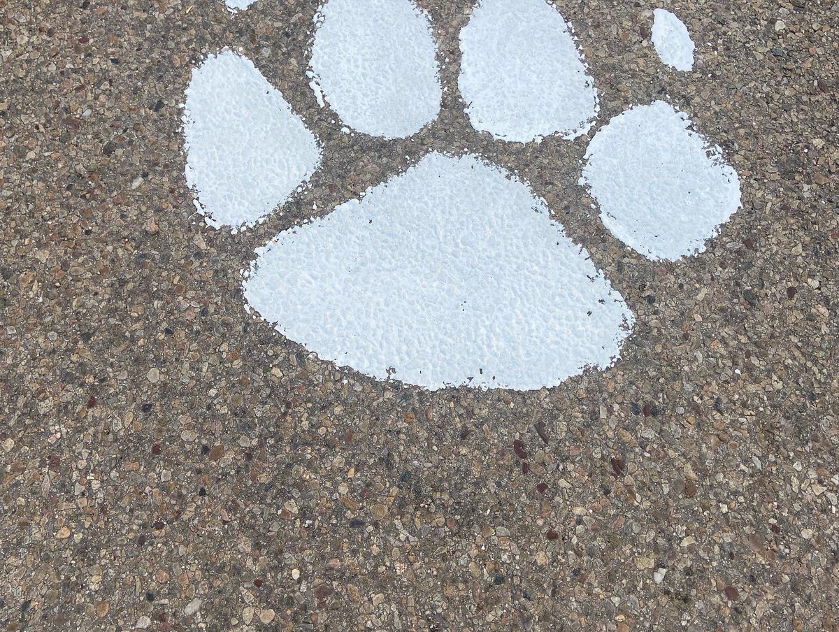 LyonsCOFB's tweet photo. Paw prints and pizza with the cheerleaders and the football boys. So much fun…. Rollin into the home opener with Las Animas for Community BBQ night. Game time 7pm. FRIDAY NIGHT LIGHTS!             GO LIONS!! https://t.co/ZHt1fMCuR8