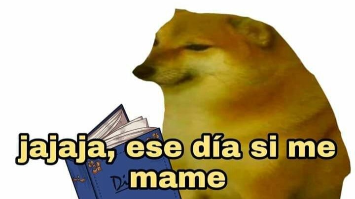 Miily_ance's tweet photo. El que intento a matar a Cristina viendo que causo un feriado Nacional... https://t.co/3OSeg6CfFI