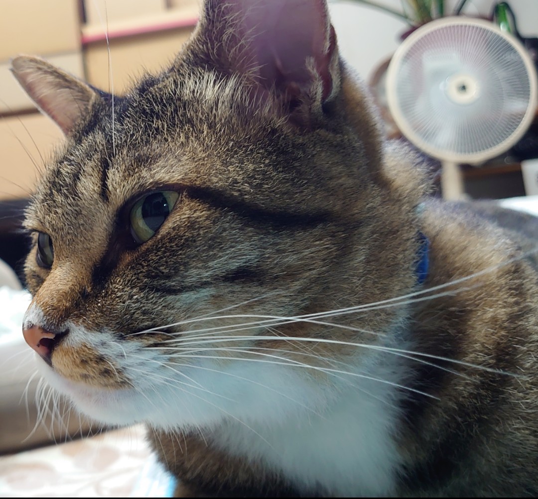 アイライン Twitter Search Twitter