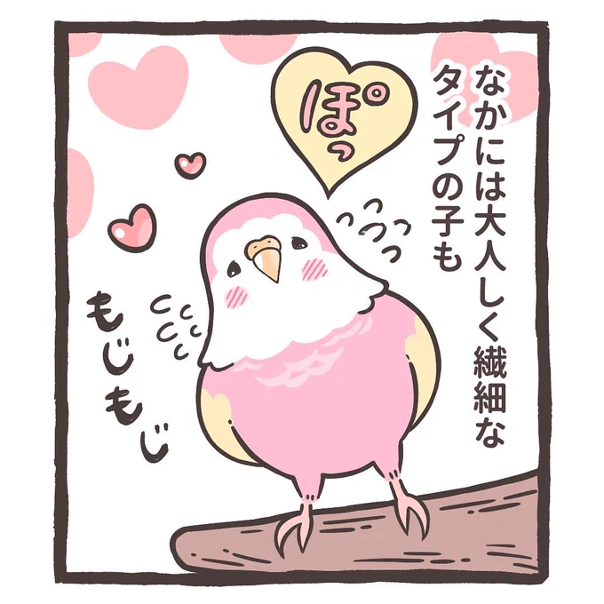 インスタにトリ扱い説明書のマンガをアップしました⤴️🐥

↓↓
https://t.co/7l0NIAaKw4 