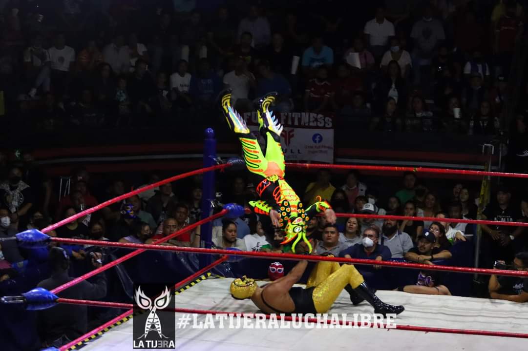 LaTijeraLucha's tweet photo. Gran lucha todos contra todos,donde de forma polémica #PumaDeOro se lleva la victoria,al quedarse al final con #Tonalli y llevarlo al conteo,pero se levanta poco antes de que el referí #ReyesRosas tocará la lona en su tercer palmada, previamente el de #24Kilates finge un faul... https://t.co/cv6Jadajj1