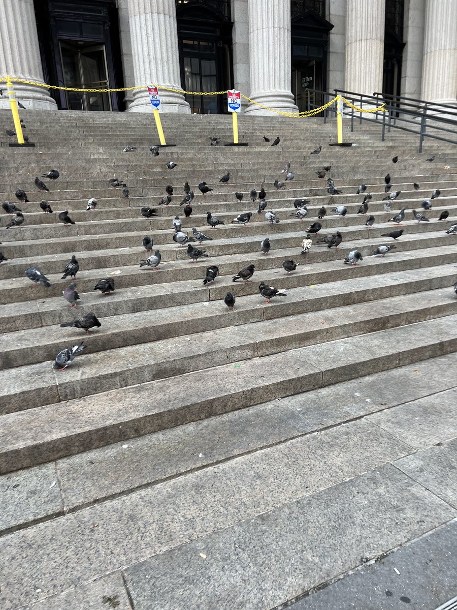 ByteThisCoding's tweet image. Not the best selfie but wanted to share I had another amazing time in NYC for Amazon SDE in-office events! I&apos;m full time remote so it&apos;s good to be able to go into the office every now and then to collab in person w/ events. 3rd picture I was surprised to see so many birds at once