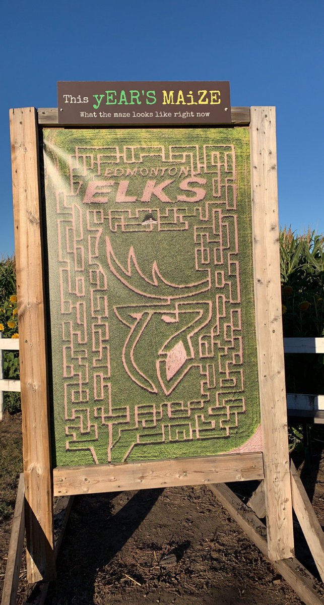 Happy #AlbertaDay Enjoyed <a href="/corn_maze/">Edmonton Corn Maze</a> on this beautiful first day of September. #summer #Grateful