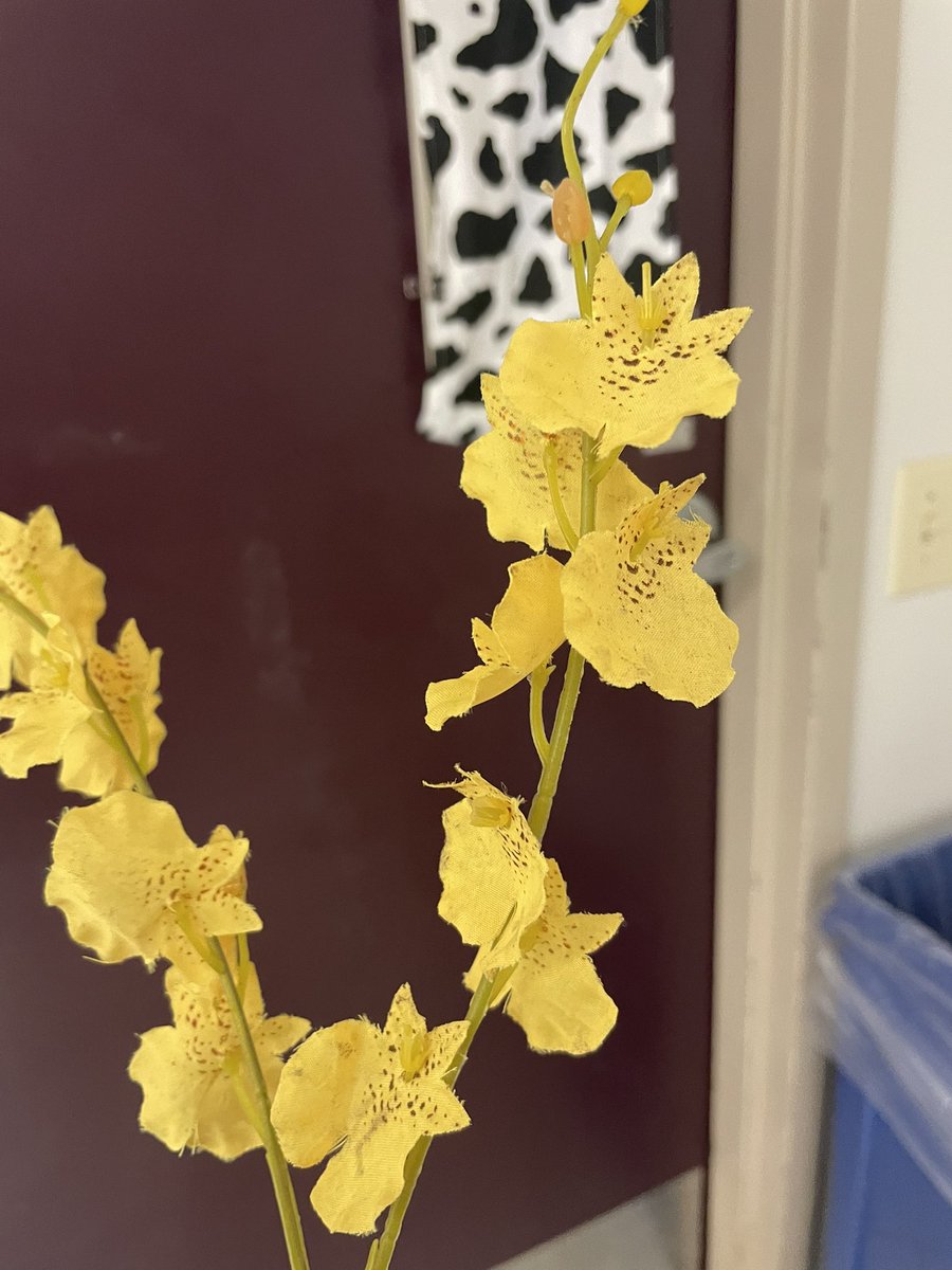 EsmeDLC007's tweet photo. What a beautiful surprised I received today.  These spontaneous moments  completely validated my passion as an educator. #2022greatstart  #yellowismycolor @BeaconHillSAISD https://t.co/T88sItOJns