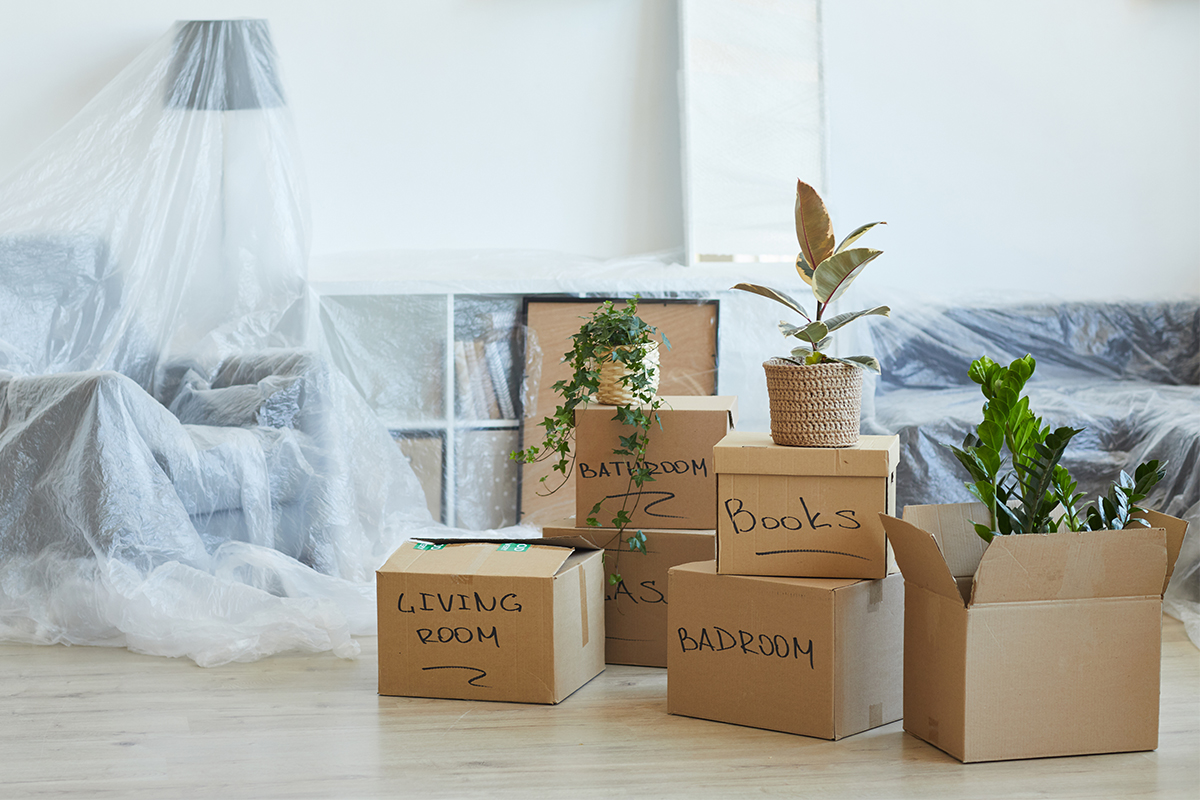 M_Storebiz's tweet photo. Five ways M-Store can support your 2022 house move... 🔑
https://t.co/1JHGjUaRz8
#fridayfeeling #mstore #cornwall #selfstorage #cornwallstorage #selfstore https://t.co/DdTJNSkKzM