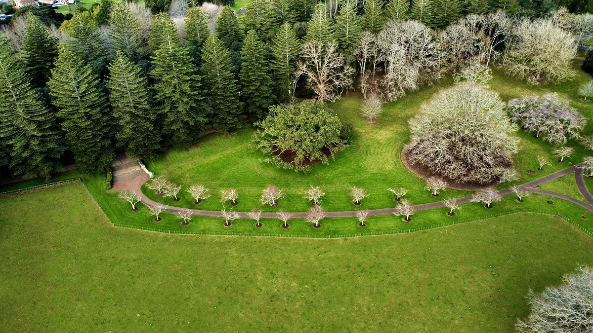 jonnylpool's tweet image. Follow your path #NatureBeauty #DJI #NewZealand