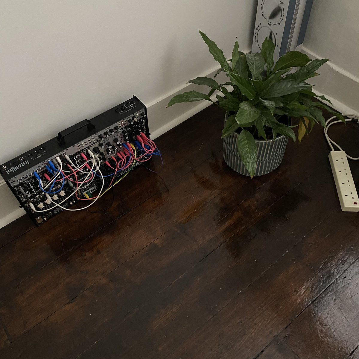 Synth looking forward to Watching Trees Festival! Come and listen to it’s beautiful oscillators tomorrow night <a href="/ransomnoted/">Ransom Note</a> <a href="/bytes93/">Bytes</a> <a href="/OptimoMusic/">Optimo Music</a>