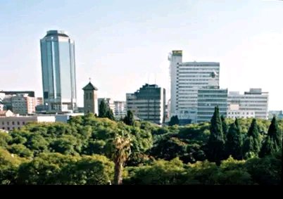 MICHAEL KANYUCHI tweet media