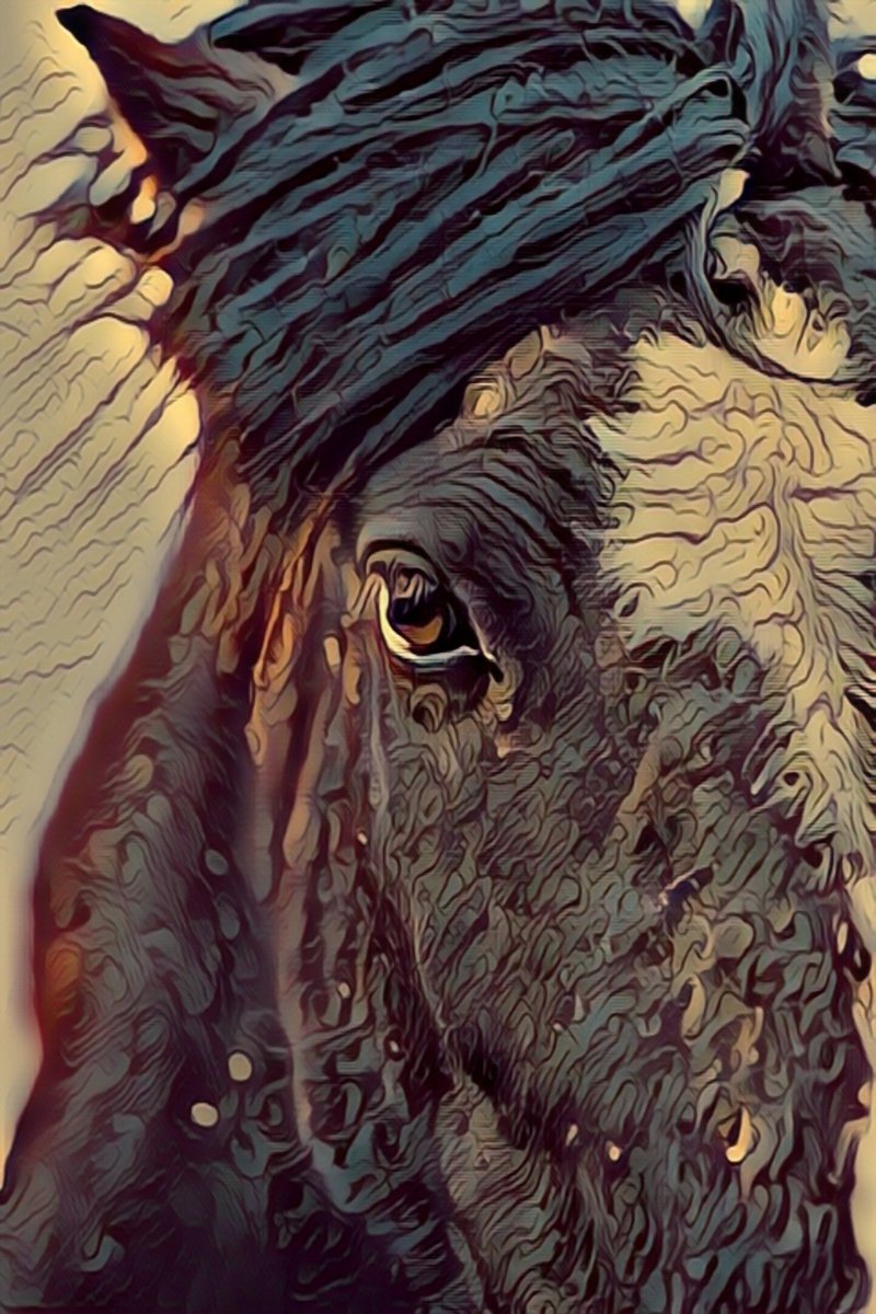Msetning's tweet photo. Good morning world 🌞
Horses in Iceland #Iceland #Digitalart #Nature #Art #Digitalpainting #Amzing 😍🐴🐎🧲😍 https://t.co/OmaIio4jQA