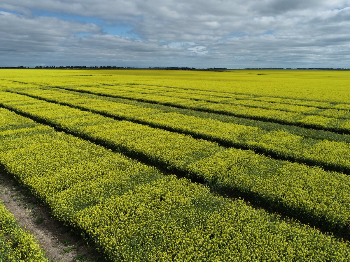 Jeremy Curry tweet media