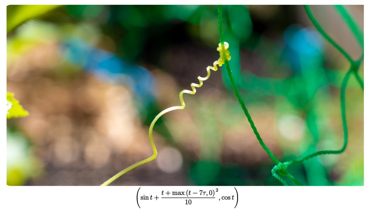 MathinReality's tweet image. #MathinReality #math #graph #art