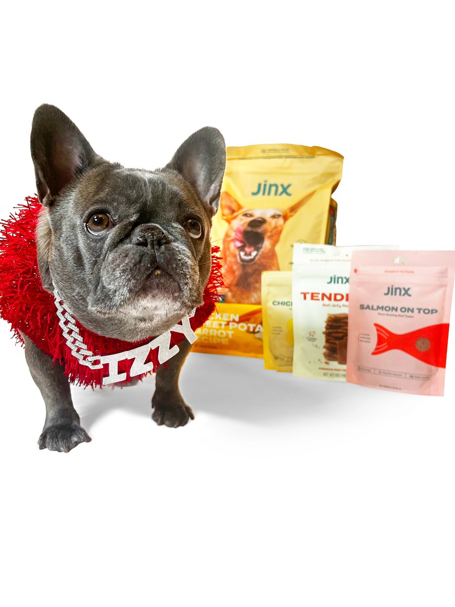Izzy the Frenchie tweet media